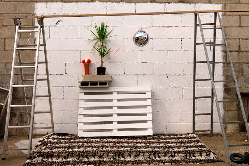 plante verte posée sur une palette de chantier avec une boule à facettes suspendu au dessus